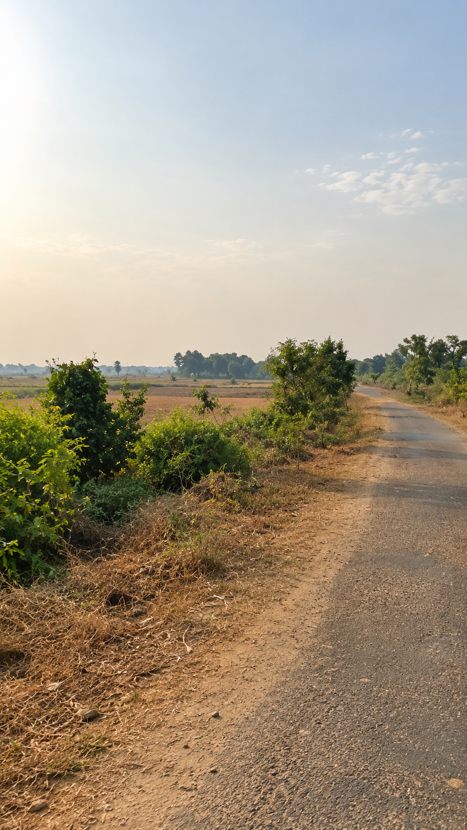 BALARAM PUR