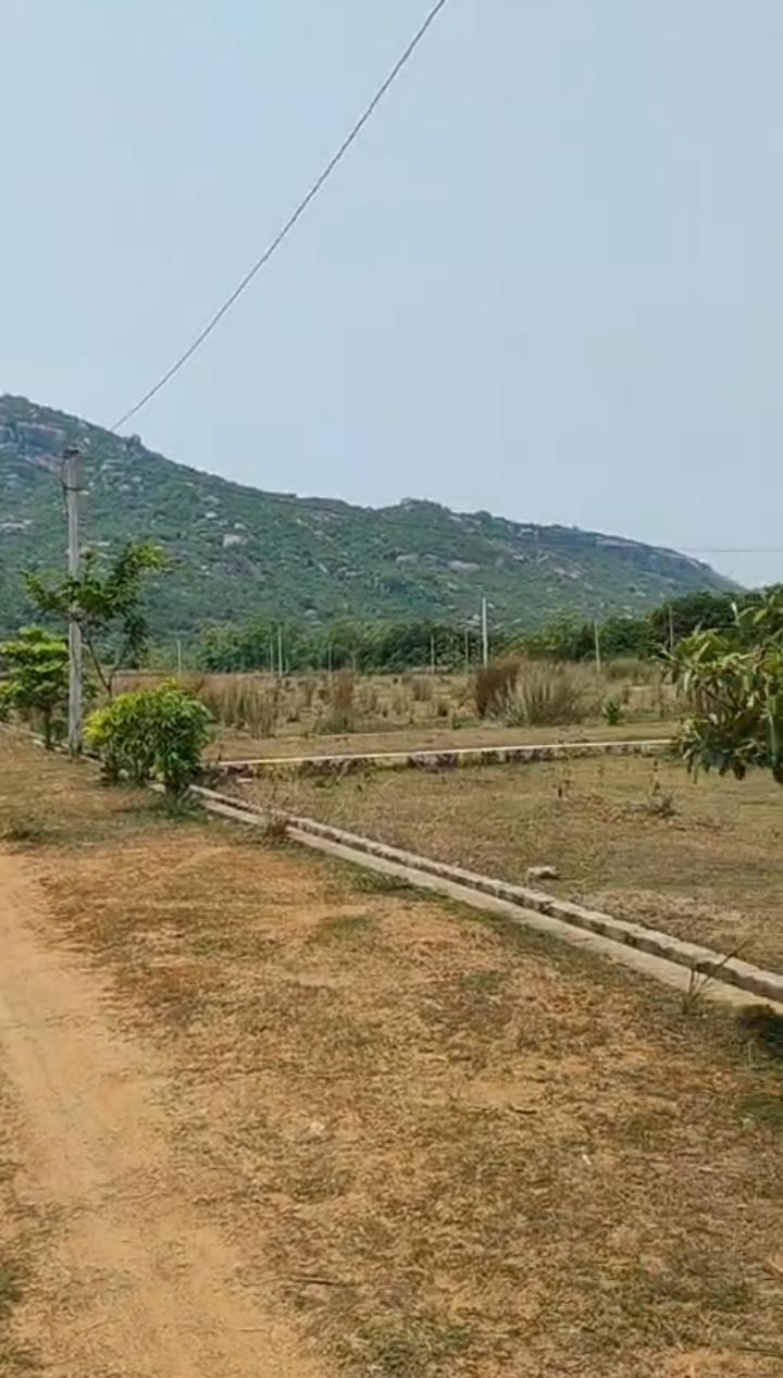 DIGAPAHANDI