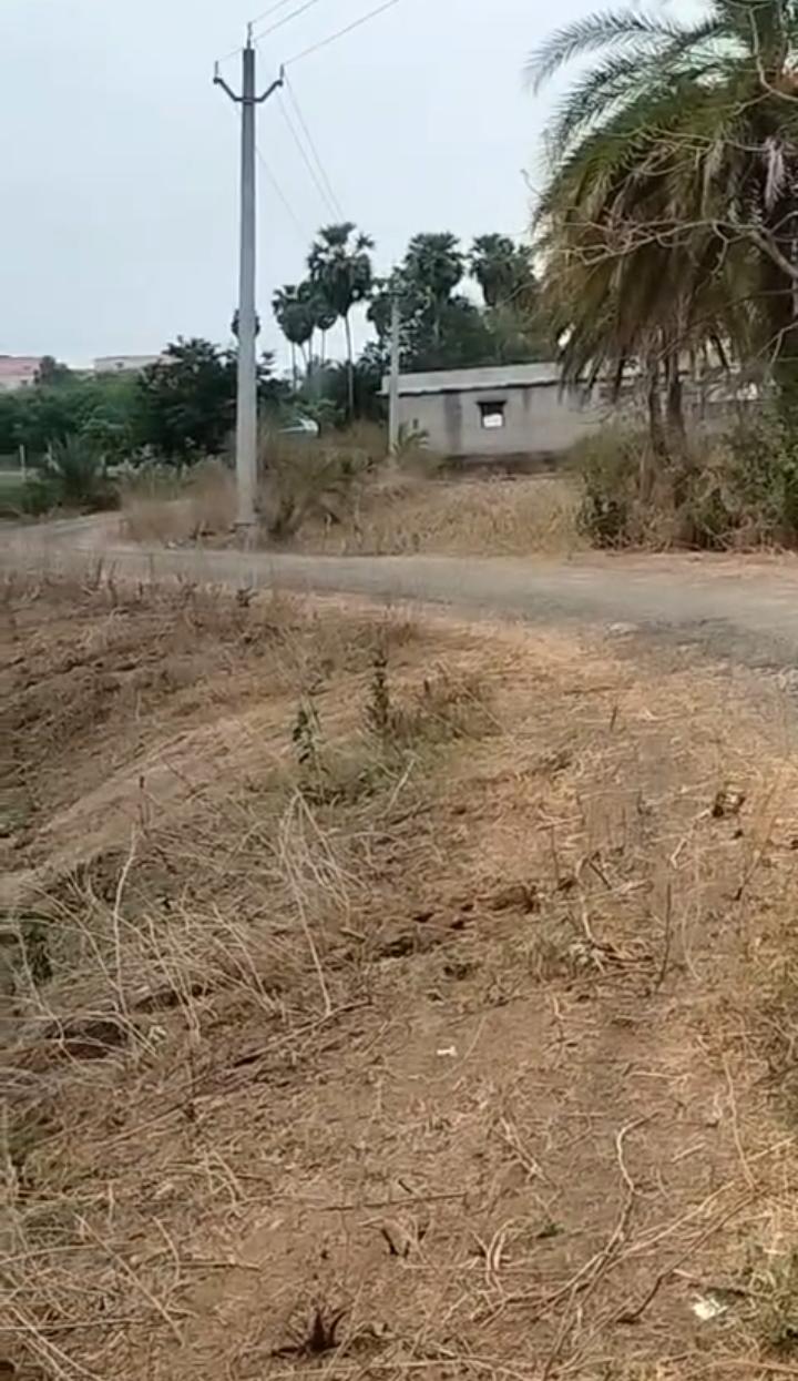 SITALAPALLI