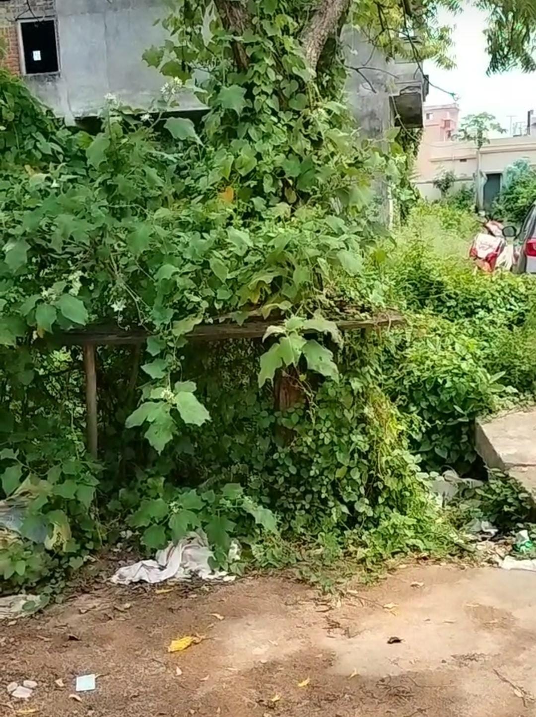 NILANCHALA NAGAR